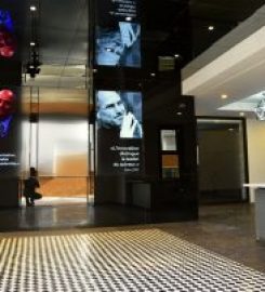 ADALIA School of Business