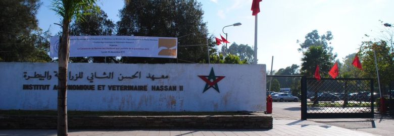 IAV Hassan II